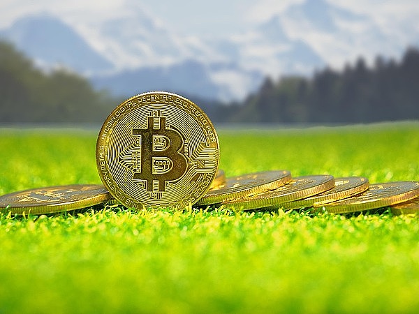 Web3教育赛道杀出一匹黑马：HOOK2.0为何备受资本追捧？