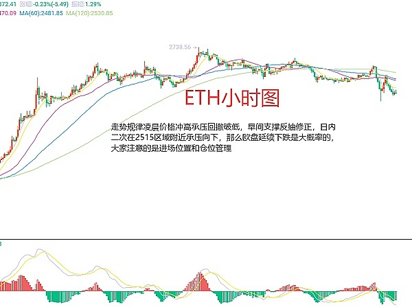 科技赋能未来：英飞凌如何用芯点亮低碳数字革命？