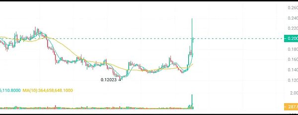 一位资深炒币者的心路历程：比特币与以太坊投资启示录