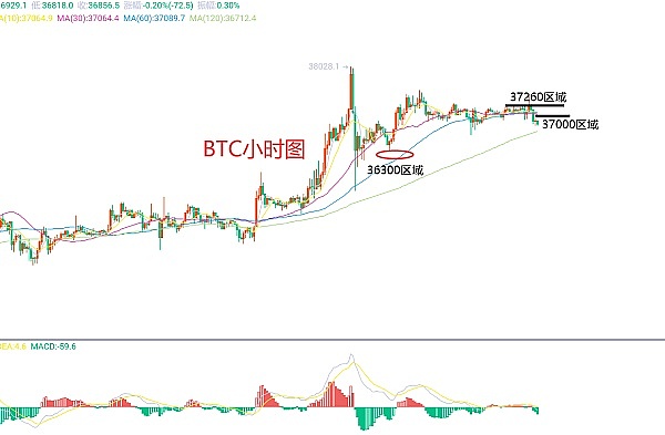 数字金融江湖里的法务生存指南：听肖飒律师团队解码行业雷区