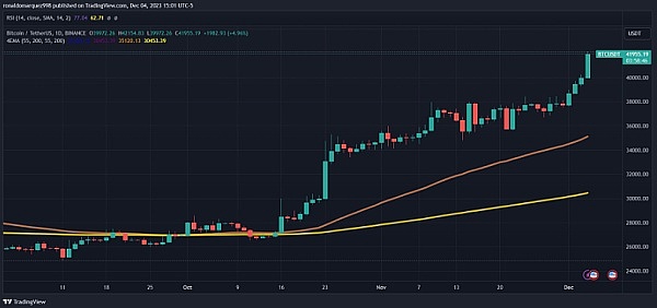 2023春节前，这些潜力币谁最可能翻10倍？资深玩家的深度观察