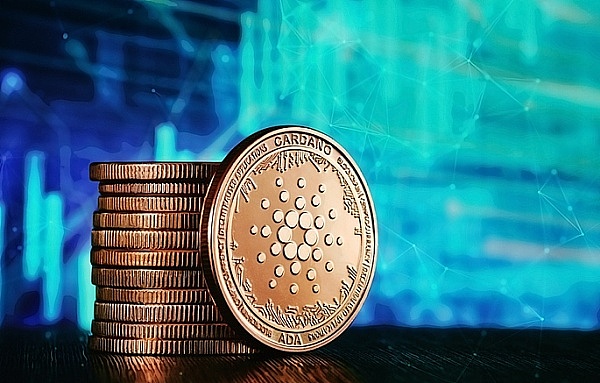 Web3创业者必看：那些你绝不能轻视的法律防火墙