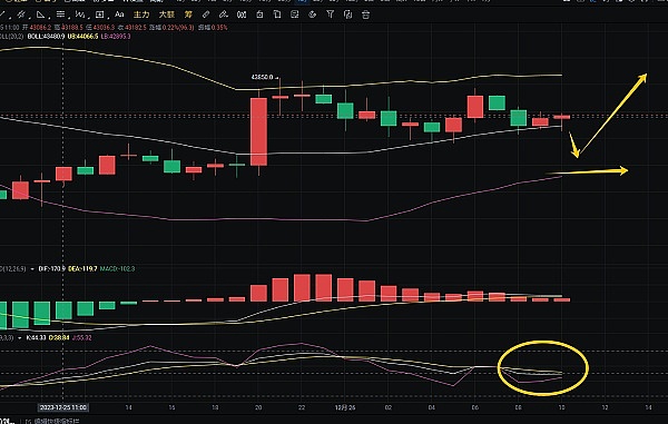 SHIB币价即将触底反弹？这里有个关键风险点
