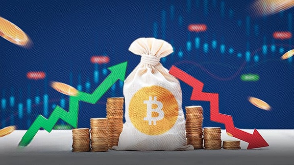 创业者的真面目：光鲜外表下的硬核品质