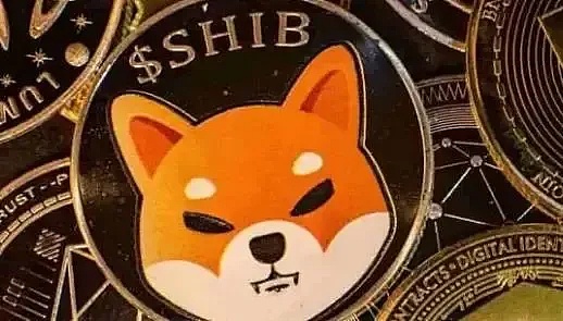 Ren代币投资指南：跨链黑马还是泡沫陷阱？